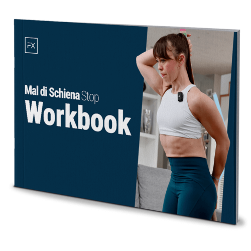 mds-workbook