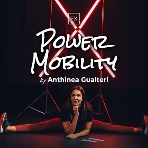 power mobility by anthinea gualtieri