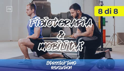 streetlifting revolution - fisioterapia e mobilita