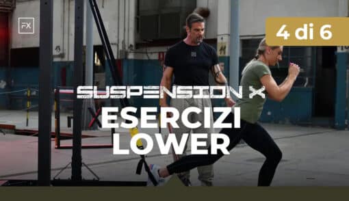 suspension x - esercizi lower